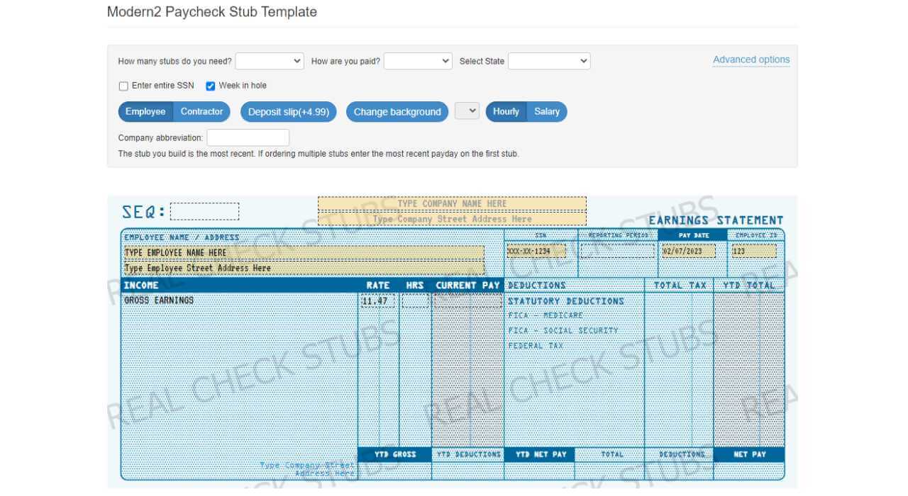 Modern2 Paycheck Stub Template